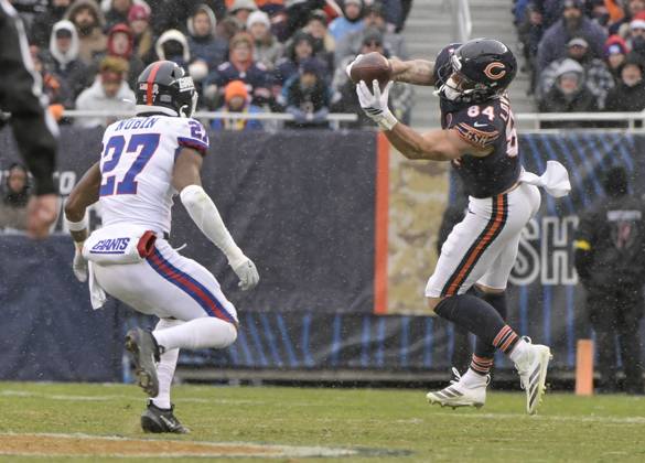 Chicago Bears tight end Colston Loveland (84) completes the pass during the fourth quarter against the New York Giants at Soldier Field in Chicago on Sunday, November 9, 2025. The Bears defeated the Giants 24-20. CHI20251109120 MARKxBLACK