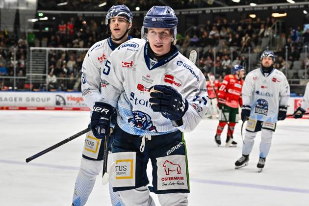 Penny DEL Augsburger Panther Straubing Tigers, 14 11 2025 Augsburg, GERMANY 14 NOVEMBER Cheers of the guests after the goal to 4 9 by Elis HEDE Straubing Tigers 75 Tor Torschuetze Freude Happy at the league match between the Augsburger Panther and the Straubing Tigers on matchday 18 of the Penny DEL at the Curt Frenzel Stadium on 14 11 2025 Copyright: xBEAUTIFULxSPORTS Goldbergx