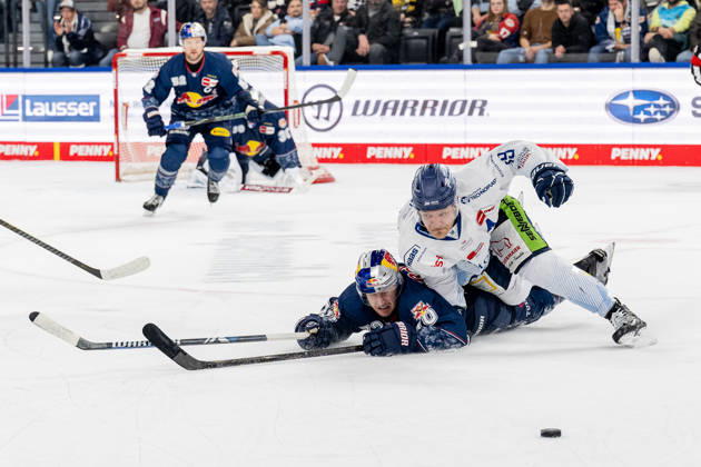 Fight for the puck duel between Maximilian Daubner EHC Red Bull Muenchen, 70 and Tim Brunnhuber Straubing Tigers, 19 GER, EHC Red Bull Muenchen vs Straubing Tigers, Ice Hockey, DEL, 22 Matchday, Season 2025 2026, 25 11 2025 GER, EHC Red Bull Muenchen vs Straubing Tigers, Ice Hockey, DEL, 22 Matchday, Season 2025 2026, 25 11 2025 Muenchen Copyright: xEibner-Pressefoto HeikexFeinerx EP_HFR
