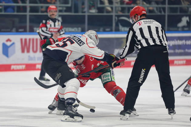 Samuel Dove Mcfalls 75 Nuernberg Ice Tigers Bully, Augsburger Panther vs Nuernberg Ice Tigers, PENNY DEL, Main Round, Matchday 23, 28 11 2025 Augsburg Germany Copyright: xkolbert-press DunjaxDietrichx