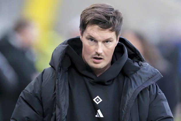 Merlin Polzin Coach, Head Coach, HSV , Single Image, Single Photo, Action, Action, 13 12 2025, Sinsheim Germany , Football, Bundesliga, TSG 1899 Hoffenheim Hamburger SV, DFB DFL REGULATIONS PROHIBIT ANY USE OF PHOTOGRAPHS AS IMAGE SEQUENCES AND OR QUASI VIDEO xozx