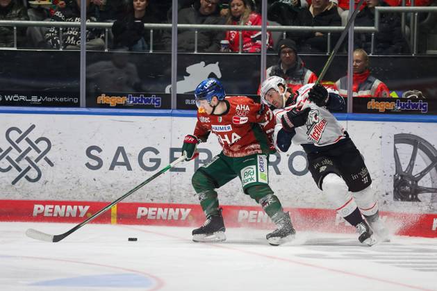 in duel, action, with Kyle Mayhew 27 Augsburger Panther , Augsburger Panther vs Nuernberg Ice Tigers, 31 Spieltag, Eishockey, Penny DEL, 23 12 2025 Augsburg Bayern Germany Copyright: xkolbert-press DunjaxDietrichx