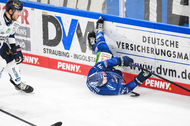 Straubing Tigers vs Iserlohn Roosters, Ice Hockey, German Ice Hockey League, Penny DEL, Matchday 33, Season 2025 2026, 28 12 2025 Nicholas Halloran Straubing Tigers slides into the boards, Ice Hockey Men, German Ice Hockey League, Penny DEL, Matchday 33, Season 2025 2026 on 28 12 2025 at Eisstadion am Pulverturm, Straubing Tigers blue vs Iserlohn Roosters white