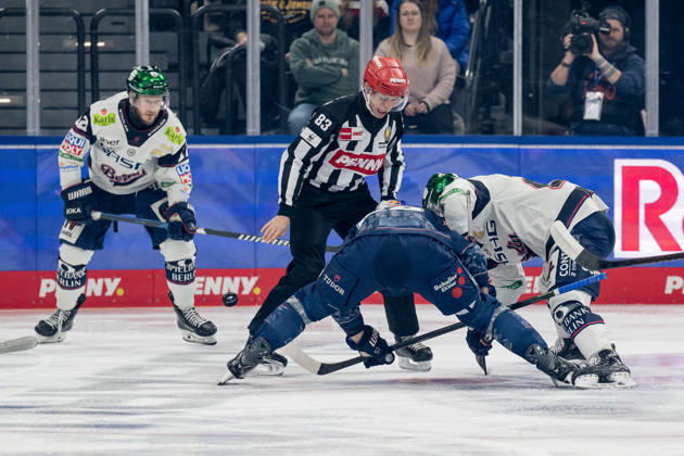 Linesperson David Tschirner executes a faceoff between Patrick Hager EHC Red Bull Muenchen, 52 and Leonhard Pfoederl Eisbaeren Berlin, 93 GER, EHC Red Bull Muenchen vs Eisbaeren Berlin, Ice Hockey, DEL, Matchday 37, Season 2025 2026, 06 01 2026 GER, EHC Red Bull Muenchen vs Eisbaeren Berlin, Ice Hockey, DEL, Matchday 37, Season 2025 2026, 06 01 2026 Muenchen Copyright: xEibner-Pressefoto FranzxFeinerx EP_HFR