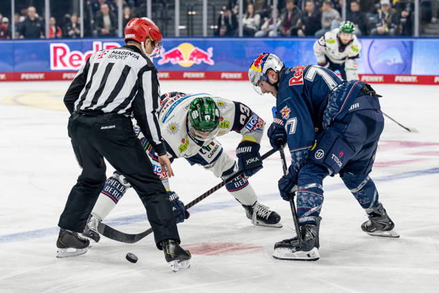 Linesperson David Tschirner executes a faceoff between Leonhard Pfoederl Eisbaeren Berlin, 93 and Adam Brooks EHC Red Bull Muenchen, 77 GER, EHC Red Bull Muenchen vs Eisbaeren Berlin, Ice Hockey, DEL, Matchday 37, Season 2025 2026, 06 01 2026 GER, EHC Red Bull Muenchen vs Eisbaeren Berlin, Ice Hockey, DEL, Matchday 37, Season 2025 2026, 06 01 2026 Muenchen Copyright: xEibner-Pressefoto HeikexFeinerx EP_HFR