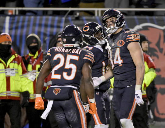 Chicago Bears tight end Colston Loveland (84) celebrates the 2 point conversion in the fourth quarter against the Green Bay Packers during an NFL, American Football Herren, USA wild-card playoff football game at Soldier Field in Chicago on Saturday, January 10, 2026. The Bears defeated the Packers 31-27 and advance to the division finals next week. CHI20260110218 MARKxBLACK