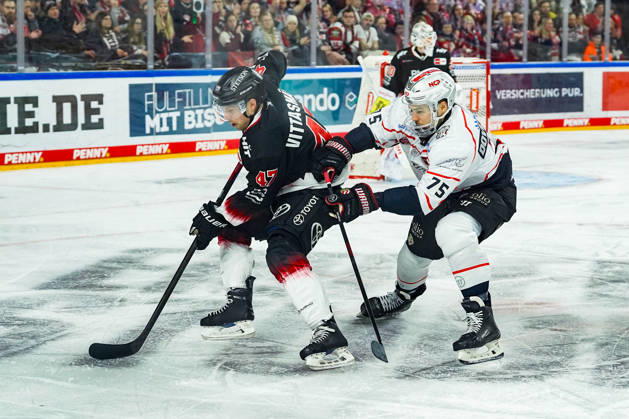 Ice Hockey Penny DEL 43 Matchday Cologne Sharks Nuremberg Ice Tigers on 25 01 2026 at the Lanxess Arena in Cologne Veli Matti Vittasmäki Cologne , left Samuel Dove McFalls Nuremberg , right According to the regulations of the DEL German Ice Hockey League, the publication and further use of the recordings in electronic media and end devices of all kinds during the ongoing game is not permitted xDMx