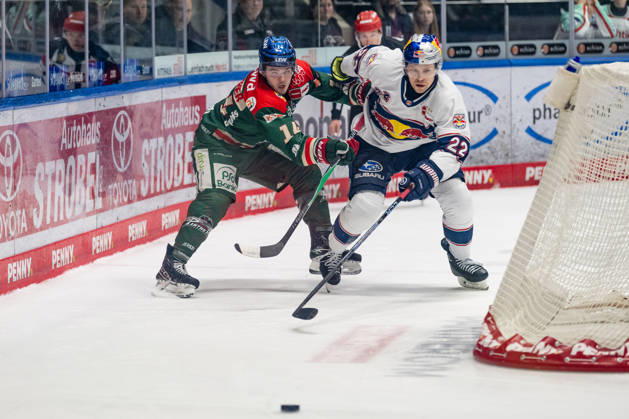 Fight for the puck duel between Donald D J Busdeker Augsburger Panther, 14 and Ville Pokka EHC Red Bull Muenchen, 22 GER, Augsburger Panther vs EHC Red Bull Muenchen, Ice Hockey, DEL, 46 Matchday, Season 2025 2026, 27 02 2026 GER, Augsburger Panther vs EHC Red Bull Muenchen, Ice Hockey, DEL, 46 Matchday, Season 2025 2026, 27 02 2026 Augsburg Copyright: xEibner-Pressefoto FranzxFeinerx EP_HFR