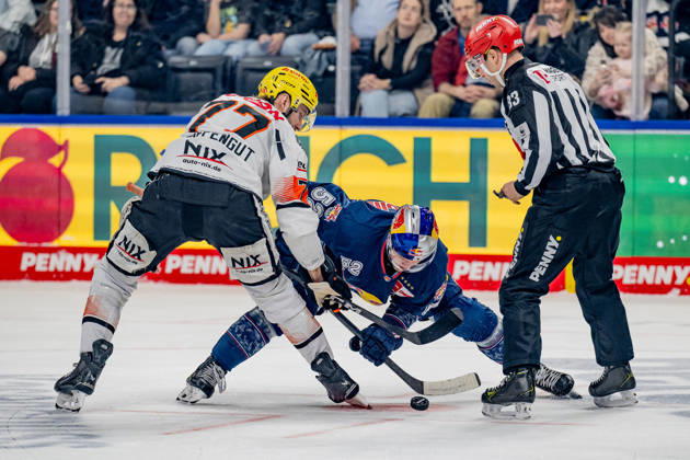 Linesperson David Tschirner executes a faceoff between Daniel Pfaffengut Loewen Frankfurt, 77 and Patrick Hager EHC Red Bull Muenchen, 52 GER, EHC Red Bull Muenchen vs Loewen Frankfurt, Ice Hockey, DEL, Matchday 50, Season 2025 2026, 08 03 2026 GER, EHC Red Bull Muenchen vs Loewen Frankfurt, Ice Hockey, DEL, Matchday 50, Season 2025 2026, 08 03 2026 Muenchen Copyright: xEibner-Pressefoto FranzxFeinerx EP_HFR