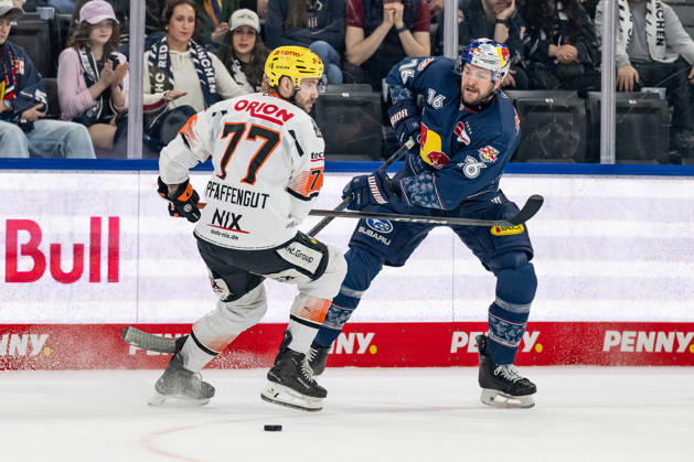 Fight for the puck duel between Daniel Pfaffengut Loewen Frankfurt, 77 and Konrad Abeltshauser EHC Red Bull Muenchen, 16 GER, EHC Red Bull Muenchen vs Loewen Frankfurt, Ice Hockey, DEL, Matchday 50, Season 2025 2026, 08 03 2026 GER, EHC Red Bull Muenchen vs Loewen Frankfurt, Ice Hockey, DEL, Matchday 50, Season 2025 2026, 08 03 2026 Muenchen Copyright: xEibner-Pressefoto FranzxFeinerx EP_HFR