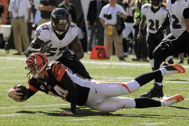 Oct. 26, 2014 - Cincinnati, OH, USA - Cincinnati Bengals quarterback Andy Dalton (14) dives beneath Baltimore Ravens linebacker C.J. Mosley (57) after escaping a sack in the end zone in the first quarter Sunday, Oct. 26, 2014 at Paul Brown Stadium in Cincinnati, Ohio. The Ravens fell to the Bengals 27-24. Copyright: xKarlxMertonxFerronx