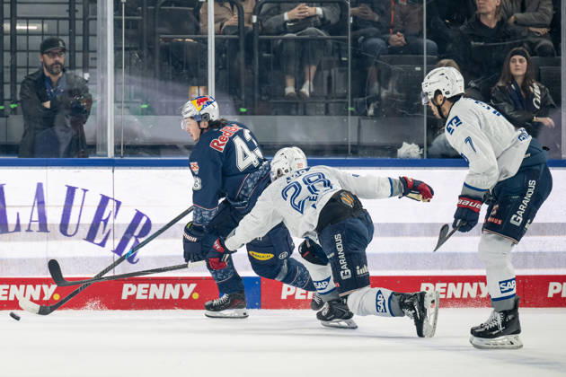 Fight for the puck duel between Phillip Sinn EHC Red Bull Muenchen, 43 and Alexander Ehl Adler Mannheim, 28 GER, EHC Red Bull Muenchen vs Adler Mannheim, ice hockey, DEL, playoffs, semi-final game 4, season 2025 2026, 14 04 2026 GER, EHC Red Bull Muenchen vs Adler Mannheim, ice hockey, DEL, playoffs, semi-final game 4, season 2025 2026, 14 04 2026 Muenchen Copyright: xEibner-Pressefoto HeikexFeinerx EP_HFR