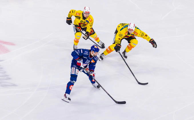 Ice Hockey National League Regular Season: ZSC Lions vs. SC Ber Zurich, Switzerland, September 15, 2026. No. 23 Marco Lehmann and No. 51 Nils Rhyn, both from Bern, put pressure on No. 10 Sven Andrighetto of the ZSC Lions as he carried the puck. Copyright: xAndreasxHaasx