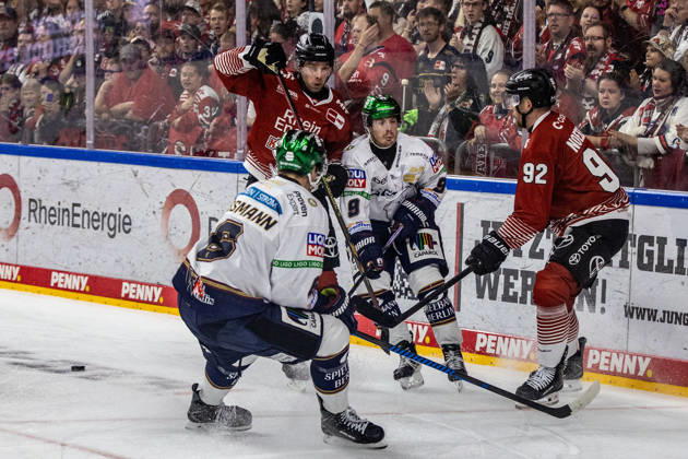 Former Berlin player Marcel Noebel s Cologne Sharks, 92 vs. Kai Wissmann s Eisbären Berlin, 06, Ty Ronning Eisbären Berlin, 09 Kölner Haie vs. Eisbären Berlin, Ice Hockey, Penny DEL, Matchday 03, 2026–2027, September 25, 2026, Cologne Sharks vs. Eisbären Berlin, Ice Hockey, Penny DEL, Matchday 03, 2026–2027, September 25, 2026, Cologne Copyright: xEibner-Pressefoto GerhardxWingenderx EP_GWR