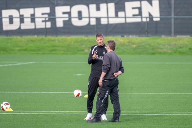 Alexander Blessin of Borussia Mönchengladbach, coach, talking with a groundskeeper before practice. Borussia Mönchengladbach open practice, soccer, Bundesliga, 2026–2027 season, September 29, 2026, Borussia Mönchengladbach open training session, soccer, Bundesliga, 2026–2027 season, September 29, 2026, Mönchengladbach Copyright: xEibner-Pressefoto ThomasxHaeslerx EP_THR