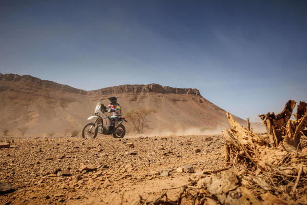 W2RC - RALLYE DU MAROC 2026 135 POUGET Guillaume (fra), GP Sandstorm Racing Team, Kove 450 Rally, FIM W2RC, Rally 2 MM, action, during the Stage 1 of the Rallye du Maroc 2026, 4th round of the 2026 WR2C Championship from September 29, 2026 between Agadir and Zagora, Morocco - AgadirMorocco Copyright: xFREDERICxLExFLOCxHx
