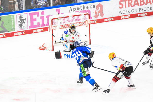 Straubing Tigers vs. Pinguins Bremerhaven, Ice Hockey, German Ice Hockey League, Penny DEL, Matchday 5, 2026–2027 Season, October 2, 2026: Jamieson Rees of the Straubing Tigers misses a shot against Kristers Gudlevskis of the Pinguins Bremerhaven, Men’s Ice Hockey, German Ice Hockey League, Penny DEL, Matchday 5, 2026–2027 Season on October 2, 2026, at the Eisstadion am Pulverturm; Straubing Tigers (blue) vs. Pinguins Bremerhaven (white)