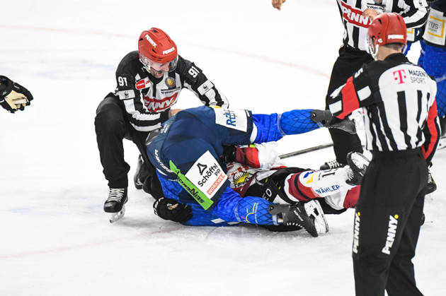 Straubing Tigers vs. Pinguins Bremerhaven, Ice Hockey, German Ice Hockey League, Penny DEL, Matchday 5, 2026–2027 Season, October 2, 2026: Stephan Daschner of the Straubing Tigers in a scuffle with Rayan Bettahar of the Pinguins Bremerhaven, Men’s Ice Hockey, German Ice Hockey League, Penny DEL, Matchday 5, 2026–2027 Season on October 2, 2026, at the Eisstadion am Pulverturm, Straubing Tigers (blue) vs. Pinguins Bremerhaven (white)