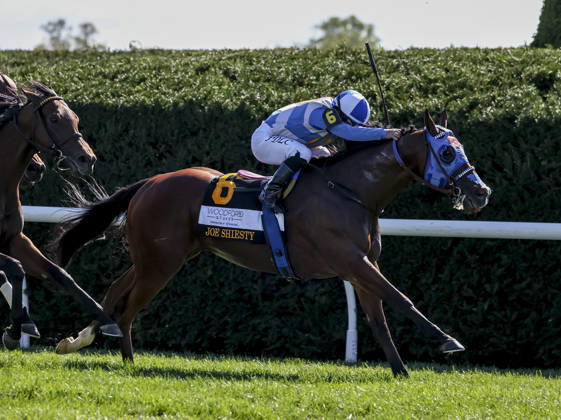 October 3, 2026, Lexington, Ky, USA: Joe Shiesty (6) ridden by Fernando De La Cruz wins the Woodford Stakes presented by Fanduel (Grade 2) on Coolmore Turf Mile Day at Keeneland in Lexington, Kentucky on October 3, 2026. Eclipse Sportswire CSM HORSE RACING 2026: Coolmore Turf Mile Day Keeneland OCT 03 - ZUMAcs17 20261003_faf_cs17_009 Copyright: xCaseyxLaughterx