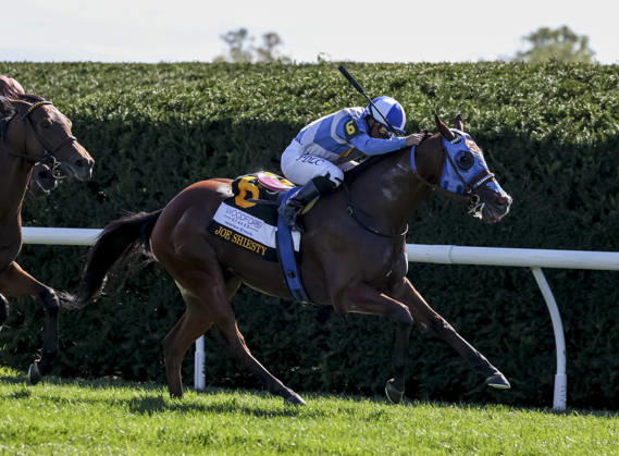 October 3, 2026, Lexington, Ky, USA: Joe Shiesty (6) ridden by Fernando De La Cruz wins the Woodford Stakes presented by Fanduel (Grade 2) on Coolmore Turf Mile Day at Keeneland in Lexington, Kentucky on October 3, 2026. Eclipse Sportswire CSM HORSE RACING 2026: Coolmore Turf Mile Day Keeneland OCT 03 - ZUMAcs17 20261003_faf_cs17_011 Copyright: xCaseyxLaughterx