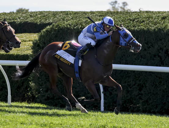 October 3, 2026, Lexington, Ky, USA: Joe Shiesty (6) ridden by Fernando De La Cruz wins the Woodford Stakes presented by Fanduel (Grade 2) on Coolmore Turf Mile Day at Keeneland in Lexington, Kentucky on October 3, 2026. Eclipse Sportswire CSM HORSE RACING 2026: Coolmore Turf Mile Day Keeneland OCT 03 - ZUMAcs17 20261003_faf_cs17_012 Copyright: xCaseyxLaughterx