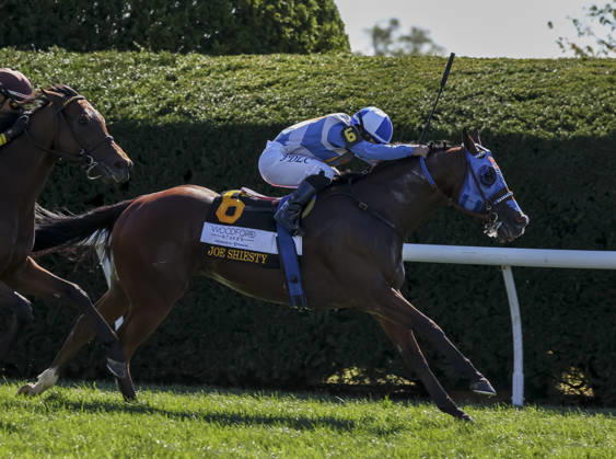 October 3, 2026, Lexington, Ky, USA: Joe Shiesty (6) ridden by Fernando De La Cruz wins the Woodford Stakes presented by Fanduel (Grade 2) on Coolmore Turf Mile Day at Keeneland in Lexington, Kentucky on October 3, 2026. Eclipse Sportswire CSM HORSE RACING 2026: Coolmore Turf Mile Day Keeneland OCT 03 - ZUMAcs17 20261003_faf_cs17_015 Copyright: xCaseyxLaughterx