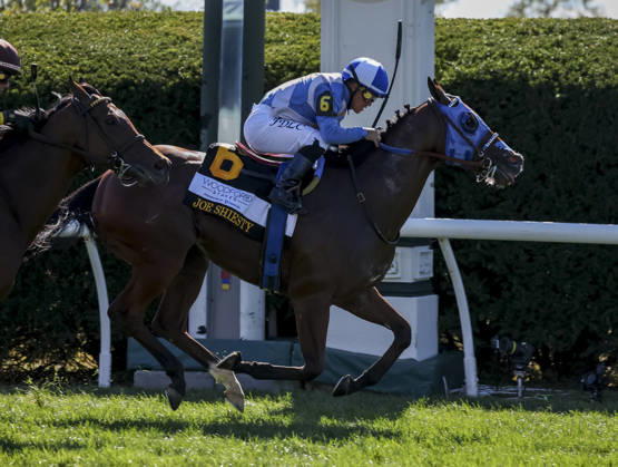October 3, 2026, Lexington, Ky, USA: Joe Shiesty (6) ridden by Fernando De La Cruz wins the Woodford Stakes presented by Fanduel (Grade 2) on Coolmore Turf Mile Day at Keeneland in Lexington, Kentucky on October 3, 2026. Eclipse Sportswire CSM HORSE RACING 2026: Coolmore Turf Mile Day Keeneland OCT 03 - ZUMAcs17 20261003_faf_cs17_018 Copyright: xCaseyxLaughterx