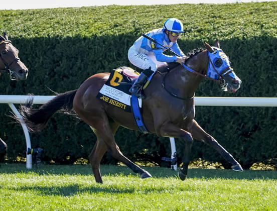 October 3, 2026, Lexington, Ky, USA: Joe Shiesty (6) ridden by Fernando De La Cruz wins the Woodford Stakes presented by Fanduel (Grade 2) on Coolmore Turf Mile Day at Keeneland in Lexington, Kentucky on October 3, 2026. Eclipse Sportswire CSM HORSE RACING 2026: Coolmore Turf Mile Day Keeneland OCT 03 - ZUMAcs17 20261003_faf_cs17_024 Copyright: xJessicaxMorganx