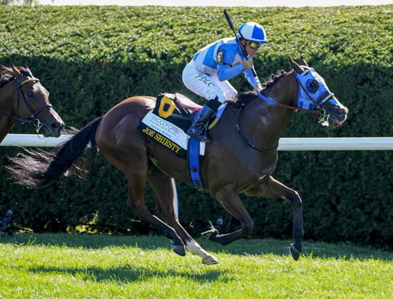 October 3, 2026, Lexington, Ky, USA: Joe Shiesty (6) ridden by Fernando De La Cruz wins the Woodford Stakes presented by Fanduel (Grade 2) on Coolmore Turf Mile Day at Keeneland in Lexington, Kentucky on October 3, 2026. Eclipse Sportswire CSM HORSE RACING 2026: Coolmore Turf Mile Day Keeneland OCT 03 - ZUMAcs17 20261003_faf_cs17_028 Copyright: xJessicaxMorganx