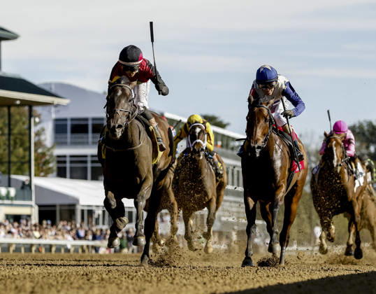 October 3, 2026, Lexington, Ky, USA: Evanescence (4) ridden by Jose Ortiz wins the Thoroughbred Club of America Stakes (Grade 2) on Coolmore Turf Mile Day at Keeneland in Lexington, Kentucky on October 3, 2026. Eclipse Sportswire CSM HORSE RACING 2026: Thoroughbred Club Of America WAYI Keeneland OCT 03 - ZUMAcs17 20261003_faf_cs17_059 Copyright: xCaseyxLaughterx