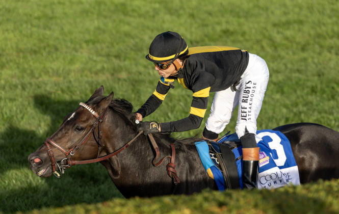 HORSE RACING 2026: Coolmore Turf Mile WAYI Keeneland OCT 03 October 3, 2026, Lexington, Ky, USA: Rhetorical (3) ridden by Irad Ortiz Jr. wins the Coolmore Turf Mile on October 3, 2026. Candice Chavez Eclipse Sportswire CSM(Credit Image: Â {Serial Cal Media) Lexington Ky USA EDITORIAL USE ONLY Copyright: xx ZUMA-20261003_faf_cs17_127.jpg {Serialx csmphotothree529183