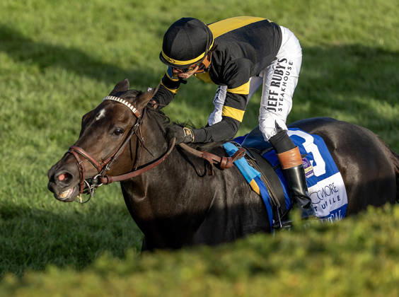 HORSE RACING 2026: Coolmore Turf Mile WAYI Keeneland OCT 03 October 3, 2026, Lexington, Ky, USA: Rhetorical (3) ridden by Irad Ortiz Jr. wins the Coolmore Turf Mile on October 3, 2026. Candice Chavez Eclipse Sportswire CSM(Credit Image: Â {Serial Cal Media) Lexington Ky USA EDITORIAL USE ONLY Copyright: xx ZUMA-20261003_faf_cs17_141.jpg {Serialx csmphotothree529192