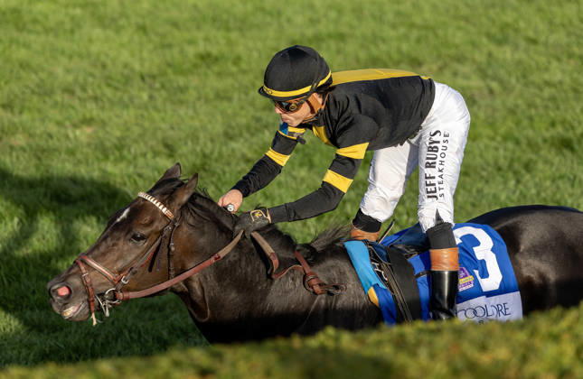 HORSE RACING 2026: Coolmore Turf Mile WAYI Keeneland OCT 03 October 3, 2026, Lexington, Ky, USA: Rhetorical (3) ridden by Irad Ortiz Jr. wins the Coolmore Turf Mile on October 3, 2026. Candice Chavez Eclipse Sportswire CSM(Credit Image: Â {Serial Cal Media) Lexington Ky USA EDITORIAL USE ONLY Copyright: xx ZUMA-20261003_faf_cs17_140.jpg {Serialx csmphotothree529193