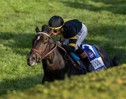 HORSE RACING 2026: Coolmore Turf Mile WAYI Keeneland OCT 03 October 3, 2026, Lexington, Ky, USA: Rhetorical (3) ridden by Irad Ortiz Jr. wins the Coolmore Turf Mile on October 3, 2026. Candice Chavez Eclipse Sportswire CSM(Credit Image: Â {Serial Cal Media) Lexington Ky USA EDITORIAL USE ONLY Copyright: xx ZUMA-20261003_faf_cs17_135.jpg {Serialx csmphotothree529198