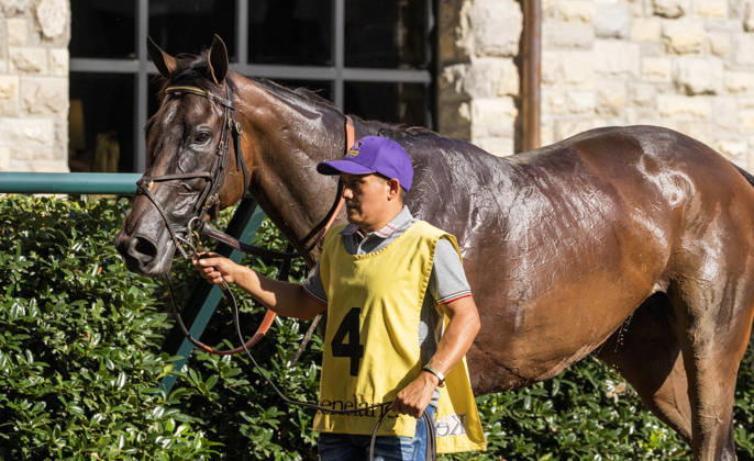 HORSE RACING 2026: Thoroughbred Club Of America WAYI Keeneland OCT 03 October 3, 2026, USA: Evanescence (4) ridden by Jose Ortiz wins the Thoroughbred Club of America on October 3, 2026. Candice Chavez Eclipse Sportswire CSM(Credit Image: Â {Serial Cal Media) USA EDITORIAL USE ONLY Copyright: xx ZUMA-20261003_faf_cs17_192.jpg {Serialx csmphotothree529252