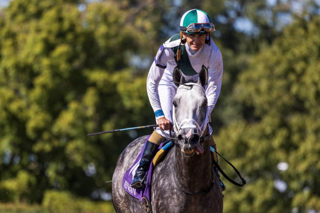 October 3, 2026, Lexington, Kentucky, USA: Who Dey (10) ridden by Brian Hernandez Jr. wins an allowance optional claiming race at Keeneland Race Course on October 3, 2026. Eclipse Sportswire CSM HORSE RACING 2026: Coolmore Turf Mile Day Keeneland OCT 03 - ZUMAcs17 20261003_faf_cs17_342 Copyright: xCaseyxLaughterx