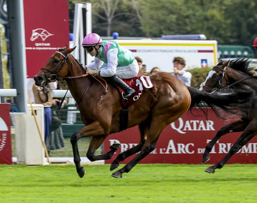 HORSE RACING 2026: Qatar Prix De LÃ¢â‚¬â ¢Arc De Triomphe Day Longchamp OCT 04 October 4, 2026, Paris, USA: Amusingly (GB) (10) ridden by Colin Keane wins the Qatar Prix Jean-luc Lagardere (Group 1) during Qatar Prix de lÃ¢â‚¬â ¢arc de Triomphe day at Longchamp Racecourse in Paris, France on October 4, 2026. Sandra Scherning Eclipse Sportswire CSM(Credit Image: Â Sandra Scherning Cal Media) Paris USA EDITORIAL USE ONLY Copyright: xx ZUMA-20261004_faf_cs17_043.jpg SandraxScherningx csmphotothree530714