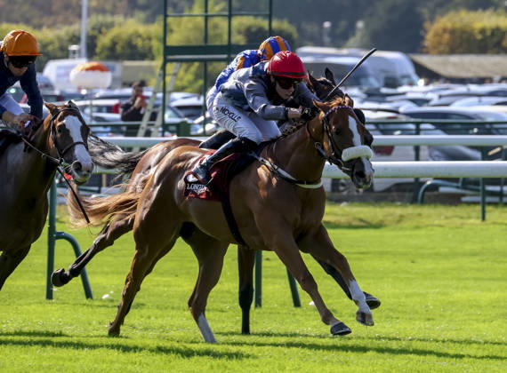 October 4, 2026, Paris, USA: Miss Yechance (9) ridden by Jack Nicholls wins the Prix De Lâ€⠢abbaye Longchamp Longines (Group 1) during Qatar Prix de lâ€⠢arc de Triomphe day at Longchamp Racecourse in Paris, France on October 4, 2026. Eclipse Sportswire CSM Paris USA - ZUMAcs17 20261004_faf_cs17_053 Copyright: xSandraxScherningx
