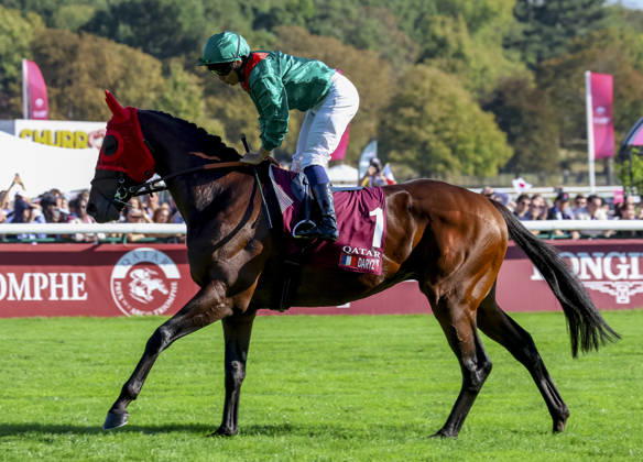 HORSE RACING 2026: Qatar Prix De Lâ€⠢Arc De Triomphe Day Longchamp OCT 04 October 4, 2026, Paris, USA: Daryz (1) ridden by Mickael Barzalona wins the Qatar Prix de lâ€⠢arc de Triomphe (Group 1) at Longchamp Racecourse in Paris, France on October 4, 2026. Sandra Scherning Eclipse Sportswire CSM(Credit Image:  Sandra Scherning Cal Media) Paris USA EDITORIAL USE ONLY Copyright: xx ZUMA-20261004_faf_cs17_071.jpg SandraxScherningx csmphotothree530732