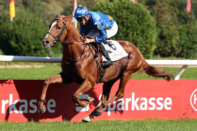 October 4, 2026, Düsseldorf, North Rhine-Westphalia, GER Daytona with Bauyrzhan Murzabayev wins at the Düsseldorf Grafenberg Racetrack Horse, jockey, Daytona, Murzabayev, victory, finish line, finish 261004SG789DUESSELDORF JPG