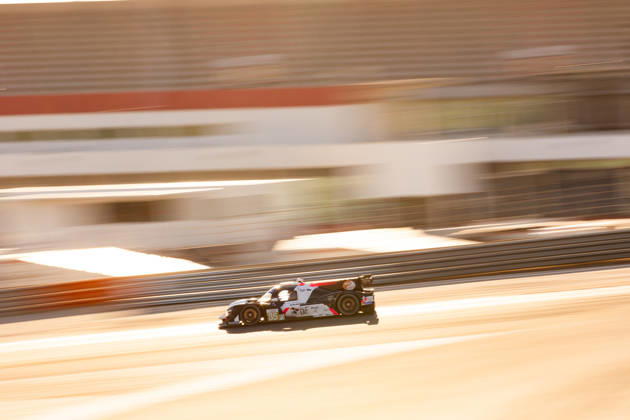 AUTO - MLC 2026 - PORTIMAO 85 FROST Danial (sgp), PEUGEOT Enzo (fra), R-ace GP, Duqueine D09 - Toyota, LMP3, action during the 6th round of the 2026 Michelin Le Mans Cup on the Autodromo Internacional do Algarve from October 8 to 10, 2026 in Portimao, Portugal -  Copyright: xJoaoxFilipex