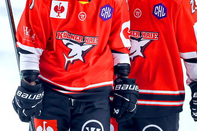 October 7, 2026, Ice Hockey, CHL, Kölner Haie vs. Blue Fox Herning, Champions Hockey League 2026–27, Matchday 5, 2026–27 Season, Lanxess Arena Cologne, Jersey, Logo, Club Logo, Emblem, Close-up of Print, North Rhine-Westphalia, Germany