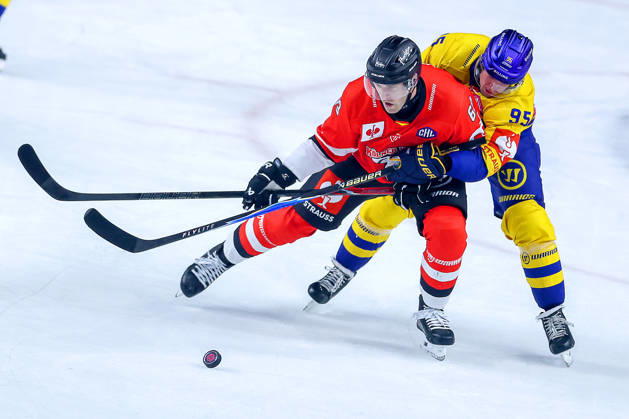 October 7, 2026, Ice Hockey, CHL, Kölner Haie vs. Blue Fox Herning, Champions Hockey League 2026–27, Matchday 5, 2026–27 Season, Lanxess Arena, Cologne; Marco Münzenberger of the Kölner Haie ’65 battles Artturi Mikael Toivola of Blue Fox Herning ’95; North Rhine-Westphalia, Germany
