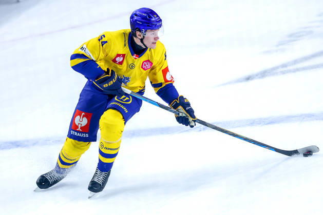 October 7, 2026, Ice Hockey, CHL, Kölner Haie vs. Blue Fox Herning, Champions Hockey League 2026–27, Matchday 5, 2026–27 Season, Lanxess Arena Cologne, Matteus Vilmer Söderbom, Blue Fox Herning 54, North Rhine-Westphalia, Germany