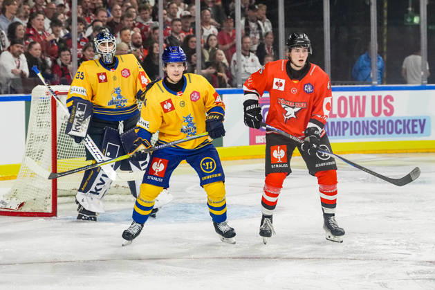 Ice Hockey CHL, Matchday 5: Kölner Haie vs. Herning Blue Fox on October 7, 2026, at the Lanxess Arena in Cologne. Jänis Fecers (Herning), left; Mads Skov Larsen (Herning), center; Kevin Niedenz (Cologne), right xDMx
