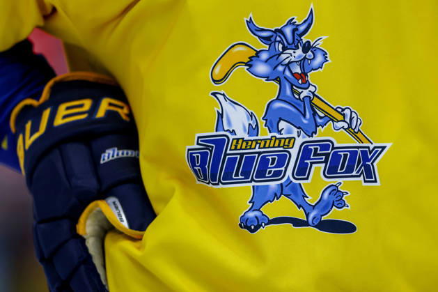 October 7, 2026, Ice Hockey, CHL, Kölner Haie vs. Blue Fox Herning, Champions Hockey League 2026–27, Matchday 5, 2026–27 Season, Lanxess Arena Cologne; Stock image, logo, club logo, banner, close-up of emblem, jersey, North Rhine-Westphalia, Germany