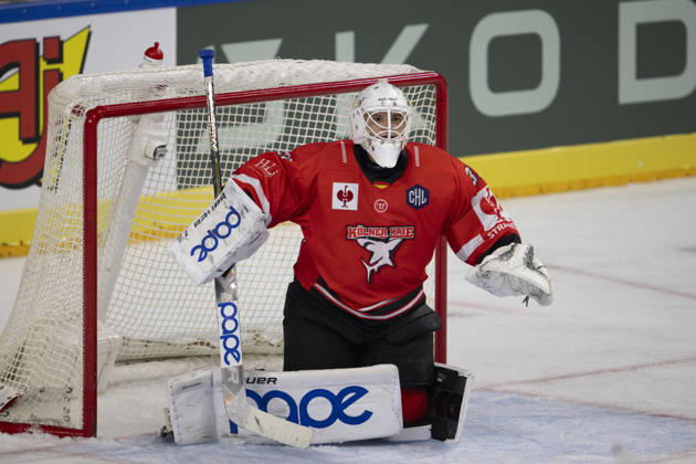 CHL Cologne Sharks vs. Herning Blue Fox, Cologne, October 7, 2026; Nico Wiens, Cologne Sharks, goaltender, 33; CHL Cologne Sharks vs. Herning Blue Fox on October 7, 2026, at the Lanxess Arena in Cologne, Germany Copyright: xBEAUTIFULxSPORTS AndreasxDickx