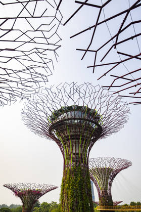F1 - SINGAPORE GRAND PRIX 2026 Gardens by the Bay, ambiance during the 2026 Formula 1 Singapore Grand Prix, 17th round of the 2026 Formula One World Championship, WM, Weltmeisterschaft from October 9 to 11, 2026 on the Marina Bay Street Circuit, in Singapore, Singapore - SingaporeSingapore Copyright: xJulienxDelfossex