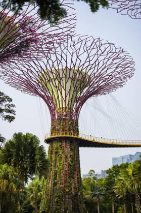 F1 - SINGAPORE GRAND PRIX 2026 Gardens by the Bay, ambiance during the 2026 Formula 1 Singapore Grand Prix, 17th round of the 2026 Formula One World Championship, WM, Weltmeisterschaft from October 9 to 11, 2026 on the Marina Bay Street Circuit, in Singapore, Singapore - SingaporeSingapore Copyright: xJulienxDelfossex