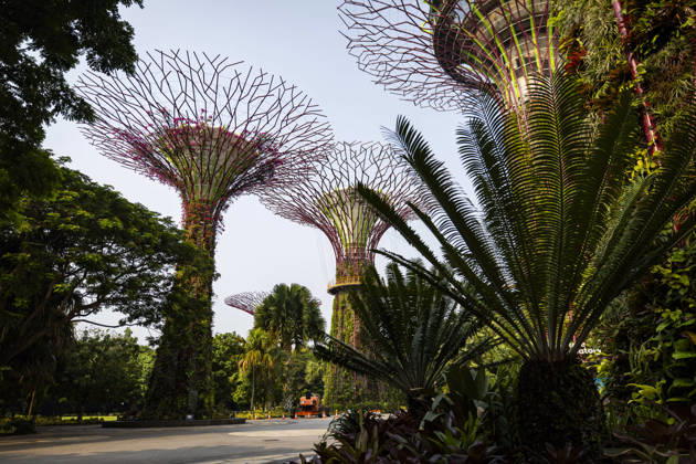 F1 - SINGAPORE GRAND PRIX 2026 Gardens by the Bay, ambiance during the 2026 Formula 1 Singapore Grand Prix, 17th round of the 2026 Formula One World Championship, WM, Weltmeisterschaft from October 9 to 11, 2026 on the Marina Bay Street Circuit, in Singapore, Singapore - SingaporeSingapore Copyright: xJulienxDelfossex